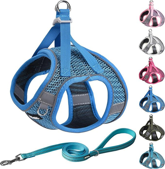 AIITLE Puppy Harness - Lightweight Air Mesh - Step in Harness with Leash - No Pull & No Choke Padded Vest - Reflective - Small Dogs & Cats - Royal Blue XXS