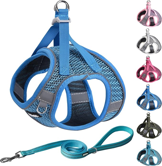 AIITLE No Pull Harness for Small Dogs - Step in Puppy Harness with Super Breathable Mesh, Reflective Adjustable Pet Harness for Outdoor Walking, Training for Small Dogs, Cats Royal Blue XS