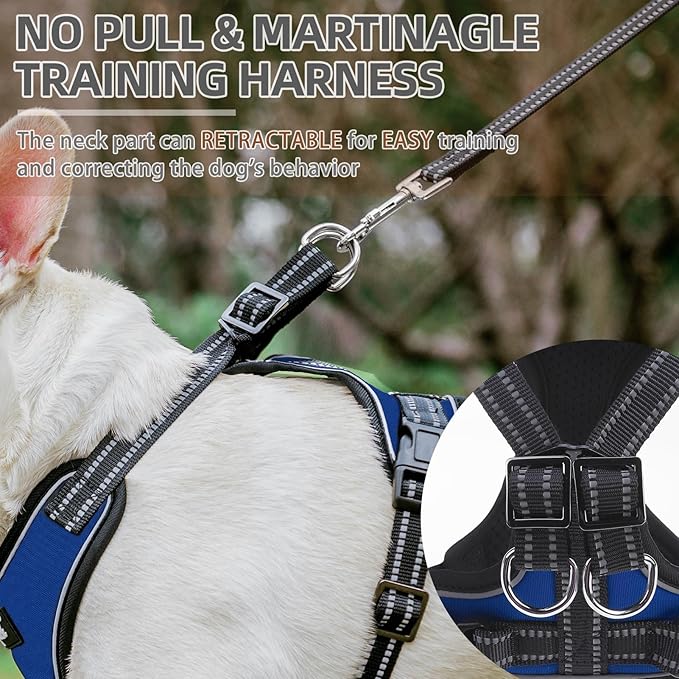PUPTECK Dog Harness and Leash Set for Small Medium Sized Dogs, No Pull Dog Harness for Walking Training, Adjustable Reflective Puppy French Bulldog Frenchie Harness Soft Padded Vest, Blue, L