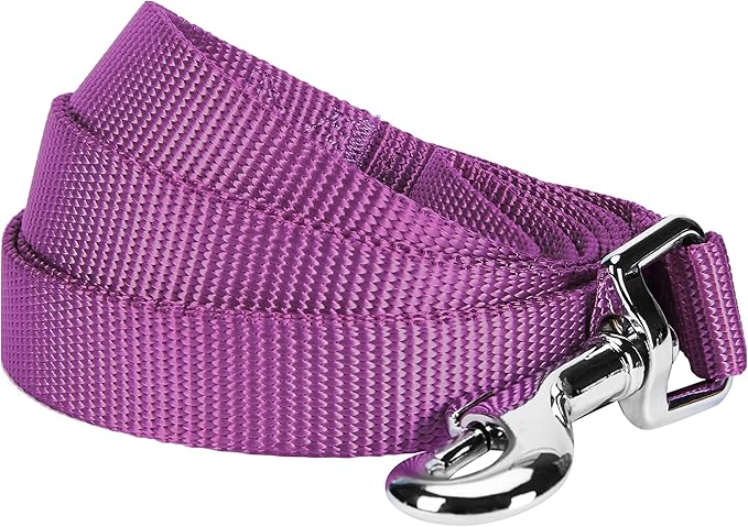 Blueberry Pet Essentials Durable Classic Dog Leash | Basic Nylon Dog Leash | 5ft. x 5/8" Small Dog Leash | Violet Dog Leash | Standard Dog Leashes & Lightweight Dog Leash for Training
