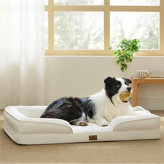 Bedsure Orthopedic Dog Beds Large Sized Dog - Washable Large Dogs Bed Waterproof, Big Comfort Pet Couch with Washable Removable Cover, Supportive Foam Pets Sofa with Nonskid Bottom, Ivory