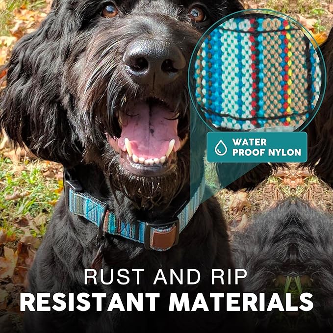 Embark Adventure Dog Collar – Stylish & Durable Nylon Dog Collars for Large Dogs, Comfortable Pet Collar, Collars for Large Breed Dogs with Strong Buckles. Adjustable Big Dog Collars for Large Dogs