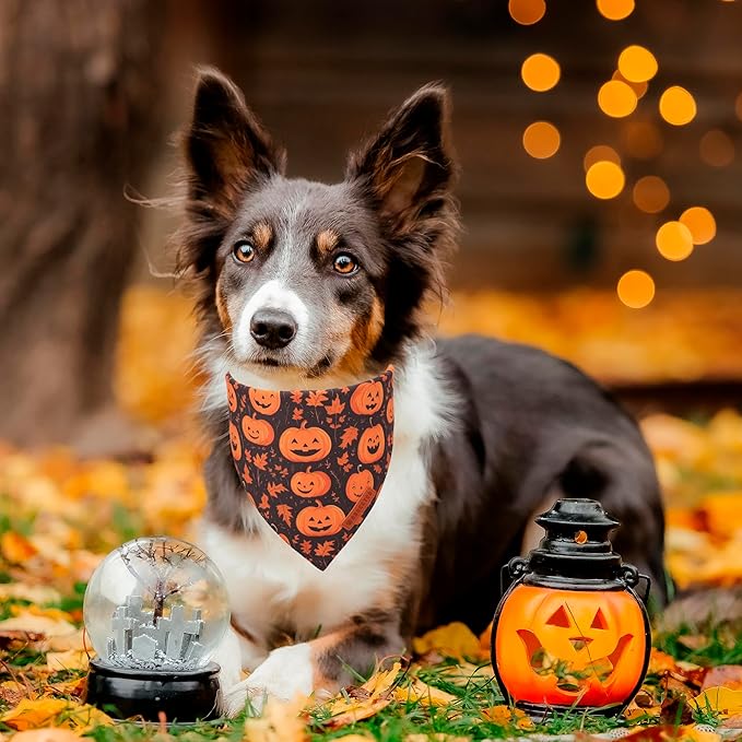 ADOGGYGO Halloween Dog Bandana, Pumpkin Ghost Pet Scarf, Orange Black Halloween Bandanas for Medium Large Dog (Large)