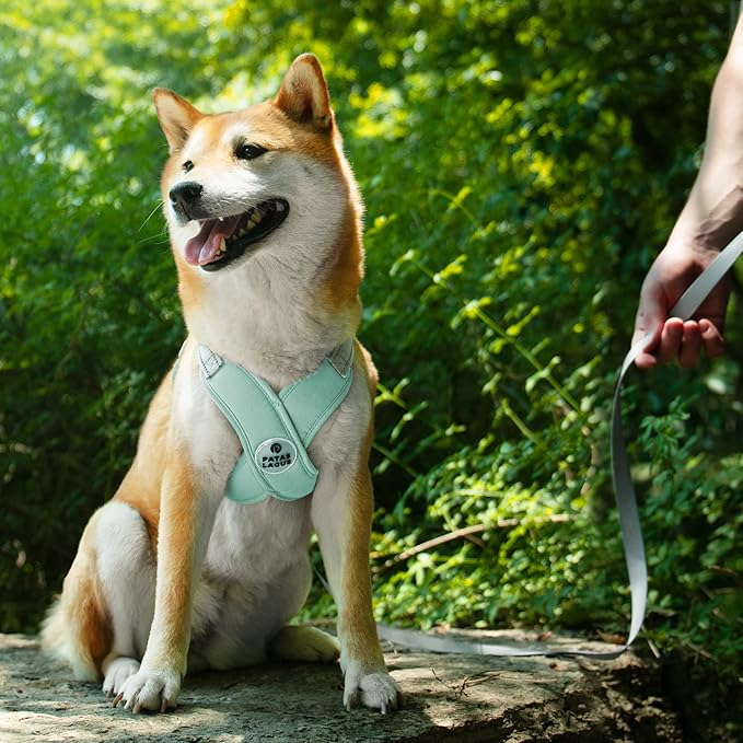 Patas Lague Dog Harness with Leash Set Adjustable Soft Padded Step-in Dog Vest No Choke No Pull Reflective for Small Pets with Poop Bags and Dispenser, Solid and No-chew, Green XS