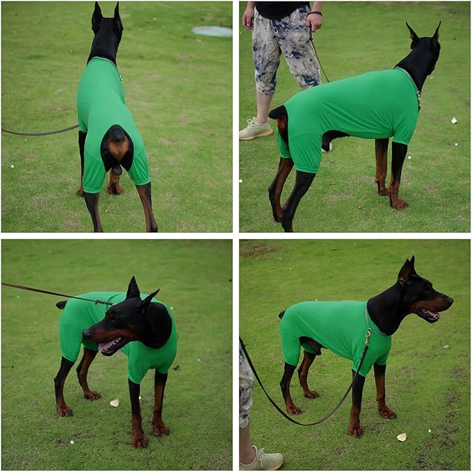LoveLongLong Dog Jumpsuit with UV Protection and Quick-Dry Fabric for Spring Summer Pet Pajamas Leaf Green M