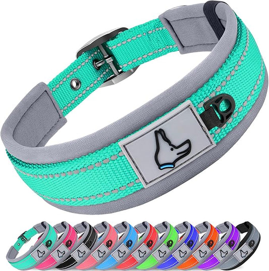 Joytale Dog Collar for Small Dogs, Neoprene Padded and Adjustable, Reflective Wide Heavy Duty Pet Collars with Durable Metal Belt Buckle for Walking, Teal, S
