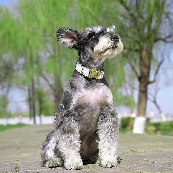 PET ARTIST Soft Leather Dog Collar for Small Dogs, Bright & Classic Nylon Padded Heavy Duty Dog Collar Leather with Quick Release Metal Buckle Adjustable for Male Dogs, Neck Fit 9-14"