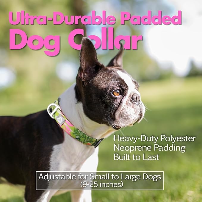 Dog Collar for Large Dogs with Reflective Logo and Soft Padded Neoprene,Summer Tropical Leaf Design,Adjustable,Lightweight & Durable, Neck Size 16’’-25’’ (Leaf, L)