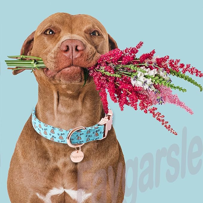 Faygarsle Blue Dog Collar for Small Medium Large Dogs Cute Puppy Collars for Female Dogs Funny Dog Collars for Summer Spring Wedding Necklace Girl Dog Collar S