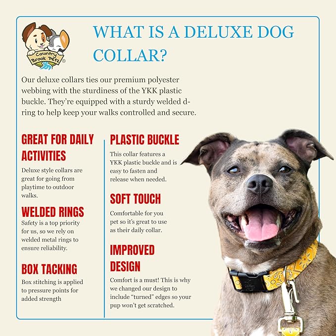 Country Brook Petz - Deluxe Copper Mesa Dog Collar - Made in The U.S.A. - Country and Western Collection Featuring Rustic Designs (1 Inch, Large)