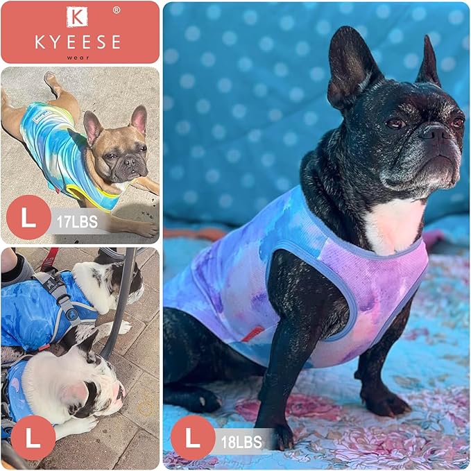 KYEESE 2 Pack Dog Cooling Shirts - Breathable Instant Cooling Vests, Lightweight for Summer Dog Apparel, Blue+Grey, Large