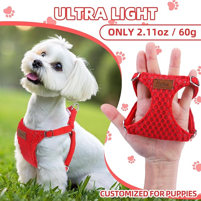 PUPTECK Dog Harness and Leash Set Small Sized, Step-in Cute Puppy Harness, Soft Lightweight Padded Vest, Escape Proof No Pull Pet Harnesses Easy for Walking, Red, S