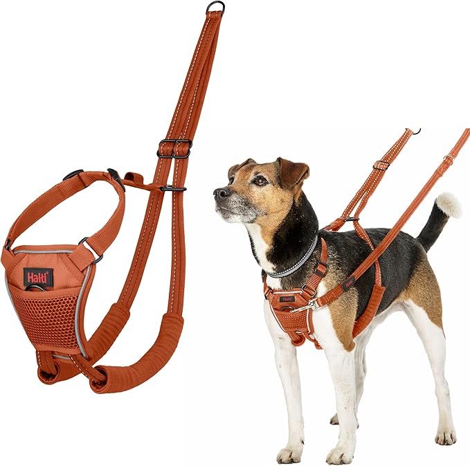HALTI No Pull Harness - to Stop Your Dog Pulling on The Leash. Adjustable, Lightweight and Easy to Use. Reflective Dog Training Harness for Toy and Small Dogs (Size XS, Burnt Orange)
