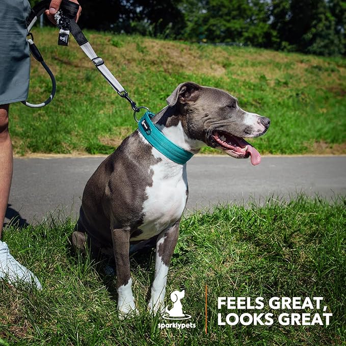 SparklyPets Heavy Duty Wide Dog Collar with Quick Release Chrome Buckle – Thick Tactical Dog Collar with Reflective Stripes & Soft Lining – for Large & Medium Breeds