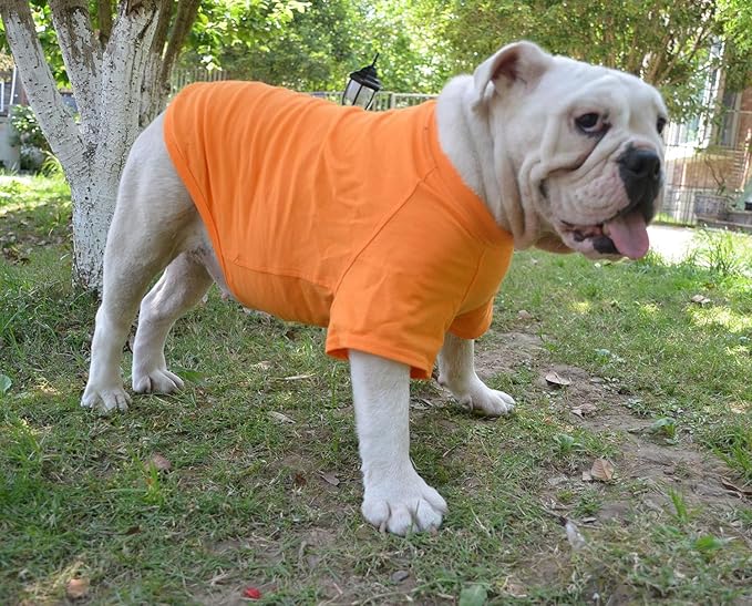 Lovelonglong Bulldog Clothes Dog Clothing Blank T-Shirt Tee Shirts for French Bulldog English Bulldog American Pit Bull Pugs 100% Cotton Skin Care Orange B-M