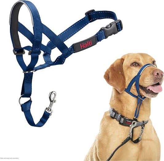 HALTI Headcollar - to Stop Your Dog Pulling on The Leash. Adjustable, Reflective and Lightweight, with Padded Nose Band. Dog Training Anti-Pull Collar for Medium Dogs (Size 3, Cobalt Blue)