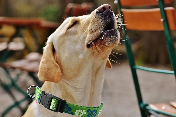 Dog Collar, Cute Floral Pattern, Soft and Adjustable Collar with Quick Release Buckle (L (Neck 16-28", Width 1"), Hawaiian Green)