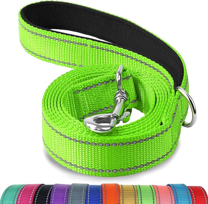 Joytale Double-Sided Reflective Dog Leash, 6 FT/5 FT/4 FT, Padded Handle Nylon Heavy Duty Leashes for Small & Medium Dogs Walking, Green, 5FT
