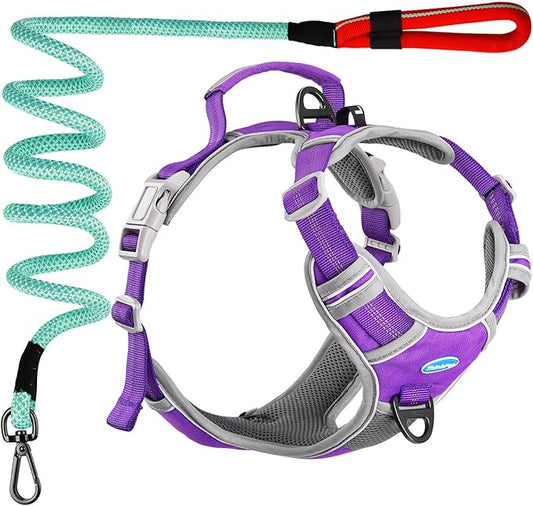 ThinkPet No Pull Harness Set Breathable Sport Harness with Handle - Reflective Padded Dog Safety Vest with Reflective Neon Dog Leash XL Harness Leash Pack Purple