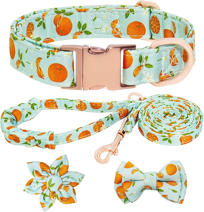 Dog Collar and Leash Set Girls Adjustable Puppy Collars with Fruit Bow Tie for Small Medium Large Female Dogs, Green Orange, M