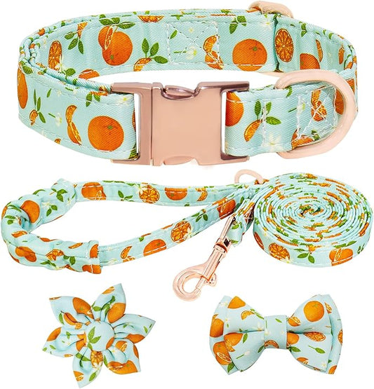 Dog Collar and Leash Set Girls Adjustable Puppy Collars with Fruit Bow Tie for Small Medium Large Female Dogs, Green Orange, M