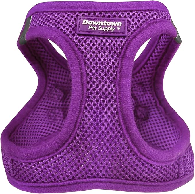 Downtown Pet Supply Step in Harness for Small Dogs No Pull, X-Small, Purple - Adjustable Buckle Strap Harness with Padded Mesh Fabric and Reflective Trim
