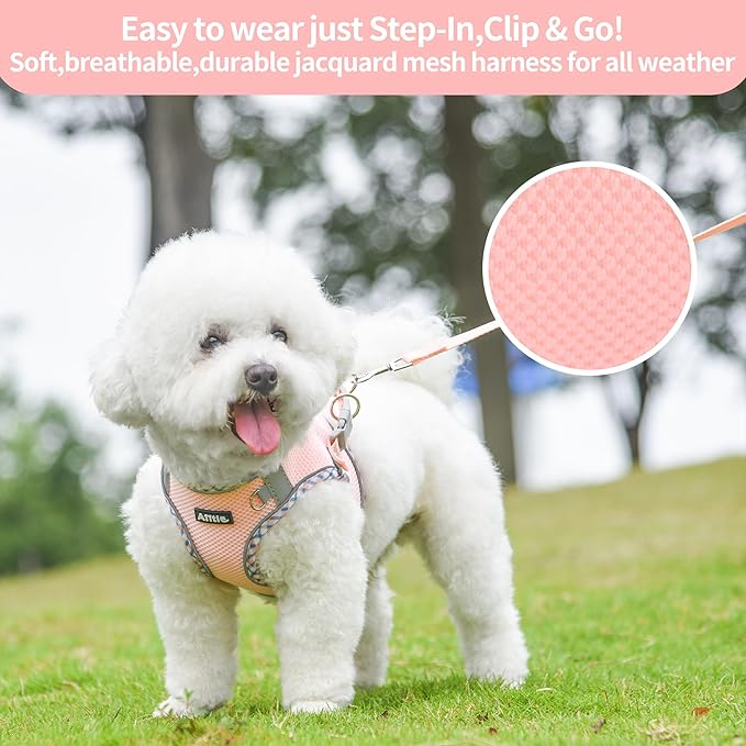 AIITLE Dog Harness and Leash Set - Ultra-Comfortable XXS-XL Vest with Strong Velcro & Glow-in-Dark Reflective Strips, Chafe-Free for Teddy, Schnauzer (Pink, M)
