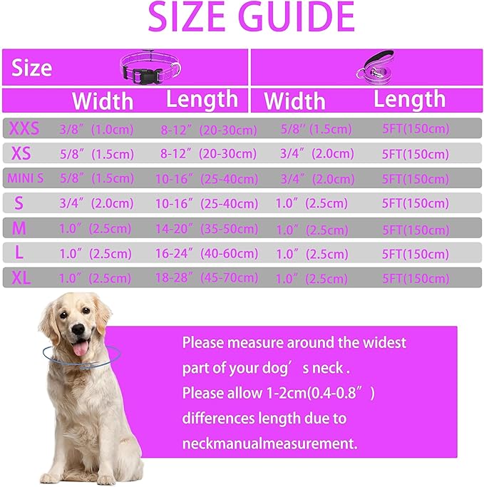 Reflective Dog Collar with Safety Locking Buckle, Adjustable Soft Breathable Nylon Collars for Small, Medium and Large Dogs(Collar+Leash XS Width 5/8" Rosered)