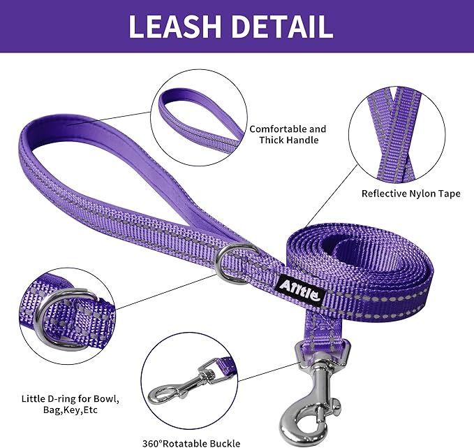 AIITLE Small Harness for Puppy with A Leash - Spring Dog Vest Harness with Super Breathable Mesh, Reflective No-Pull Pet Harness for Outdoor Walking, Camping for Small Dogs, Cats Purple XXS
