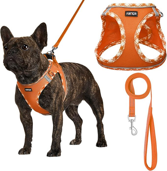 AMTOR Small Dog Harness with Leash Set, No Escape Easy Walk Puppy Harnesses for Training Walking, Step-in Reflective Soft Dogs Vest for XS S Medium Extra-Small Large Sized Dog(XS Size,Orange/White)