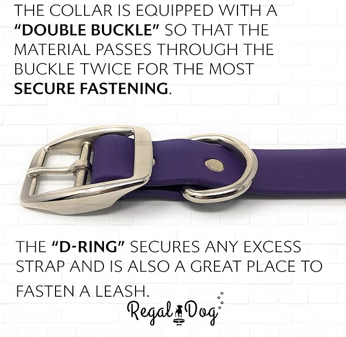Regal Dog Products Medium Purple Waterproof Dog Collar and Leash Set | Heavy Duty Double Buckle & D Ring - 5'ft Leash | Adjustable Biothane Dog Collar | Chew Resistant Waterproof Collar for Dogs