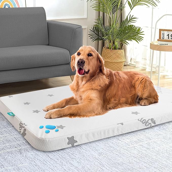 Biloban Waterproof Dog Beds for (Large) Dogs, Washable Mat Pad, Memory Foam Dog Beds & Furniture for Small/Medium Large/XL/XXL Pet with Removable Cover (Light Grey)