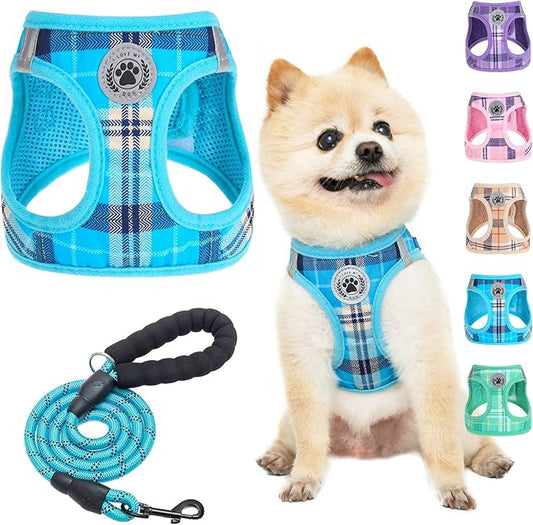BEAUTYZOO Small Dog Harness and Leash Set,Step in No Choke No Pull Soft Mesh Dog Harnesses Reflective for Extra-Small Medium Puppy Dogs and Cats, Plaid Vest Harness for XS S Pets, Blue S