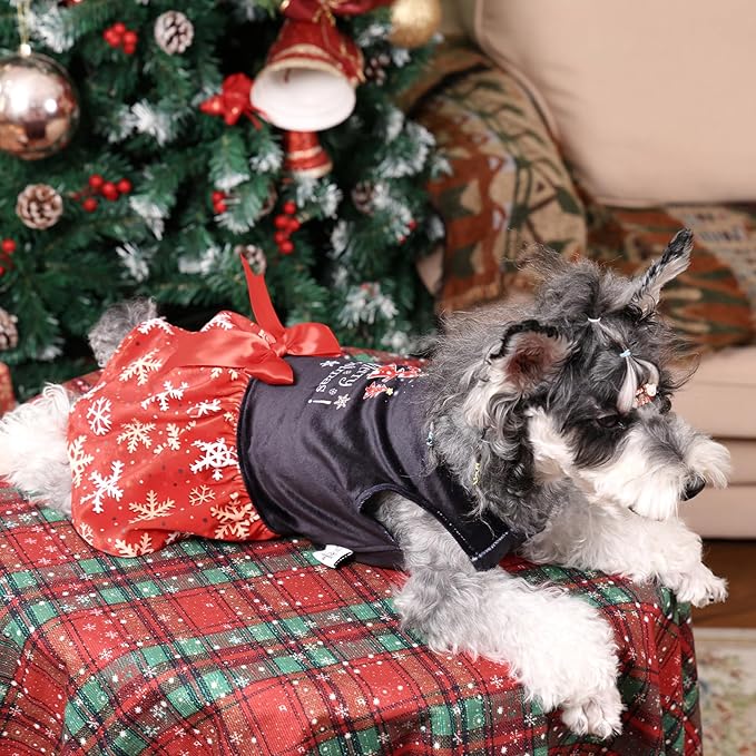 CuteBone Christmas Dog Dresses Velvet Holiday Small Dogs Clothes Onesie Pet Apparel Girl Puppy Skirt with Bow Hair Rope CVA54XXS-D