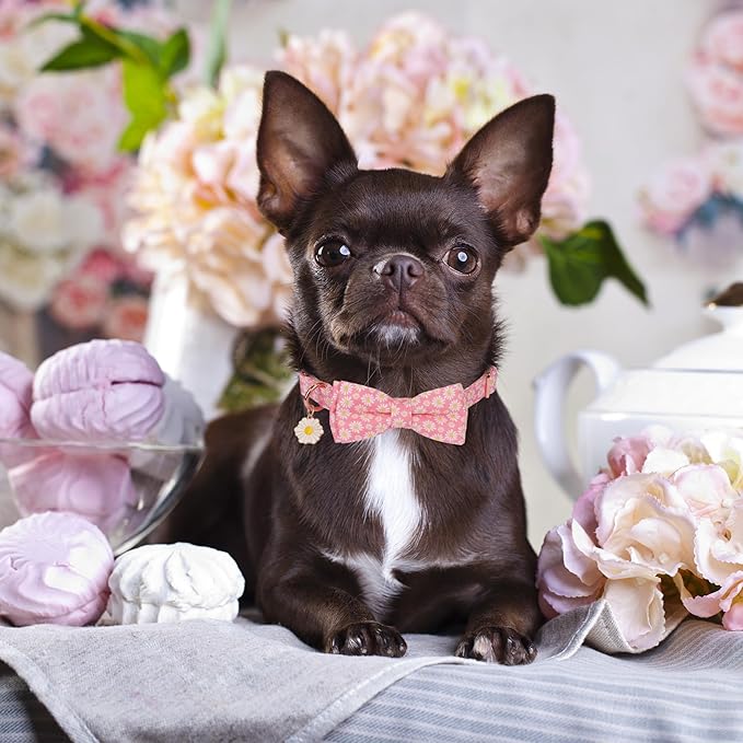 ADOGGYGO Floral Dog Collar with Bowtie, White Daisy Dog Flower Collar with Metal Buckle, Adjustable Pink Dog Floral Collars for X-Small Dogs (X-Small)