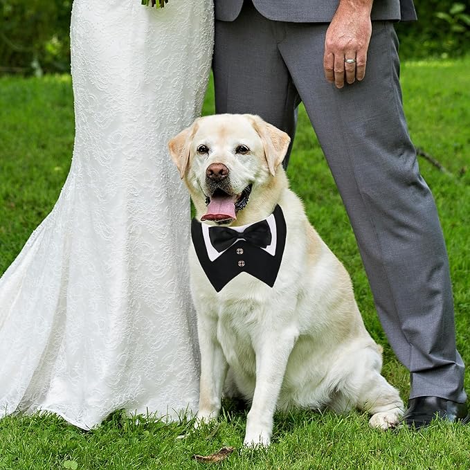 ADOGGYGO Dog Tuxedo, Wedding Birthday Dog Bowtie Collar, Pet Tux Bandana Collar for Large Pets (Black, Large)