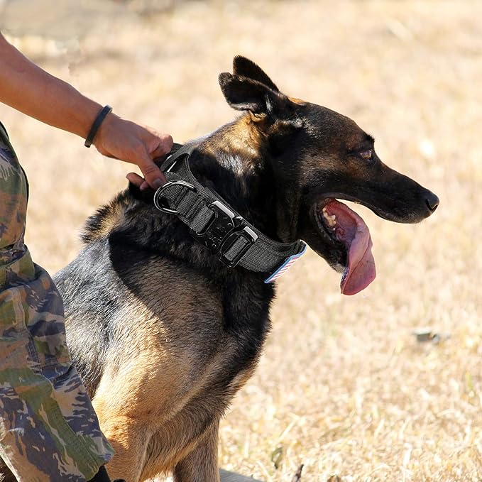 Tactical Military Collar - Adjustable Nylon, Heavy Duty Metal Buckle with Handle for Dog Training, with Patches (M, Black)