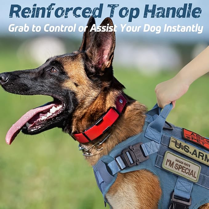 rabbitgoo Tactical Dog Harness for Small, Heavy Duty Pet Harness with Handle, No-Pull Service Vest Small Breed, Adjustable Military Dog Vest for Training Hunting Walking, Blue, S