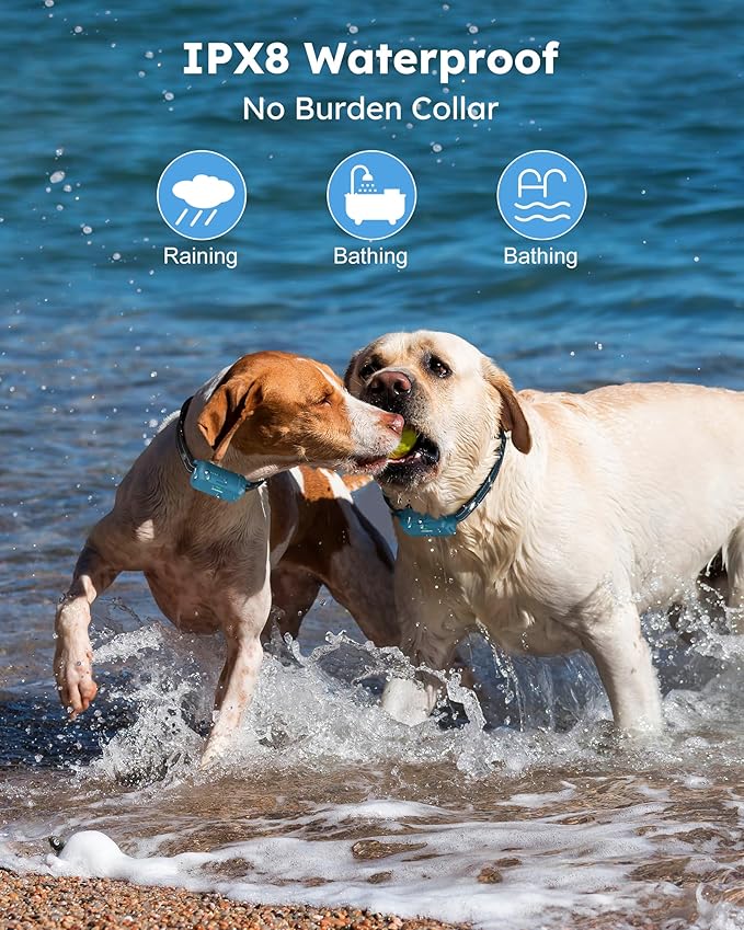 Jugbow Dog Shock Collar 2 Dogs - 4200FT Dog Training Collar with Remote, IPX8 Waterproof E Collar for Dogs Training Rechargeable Collars for Large Medium Small Dogs (10-120lbs)