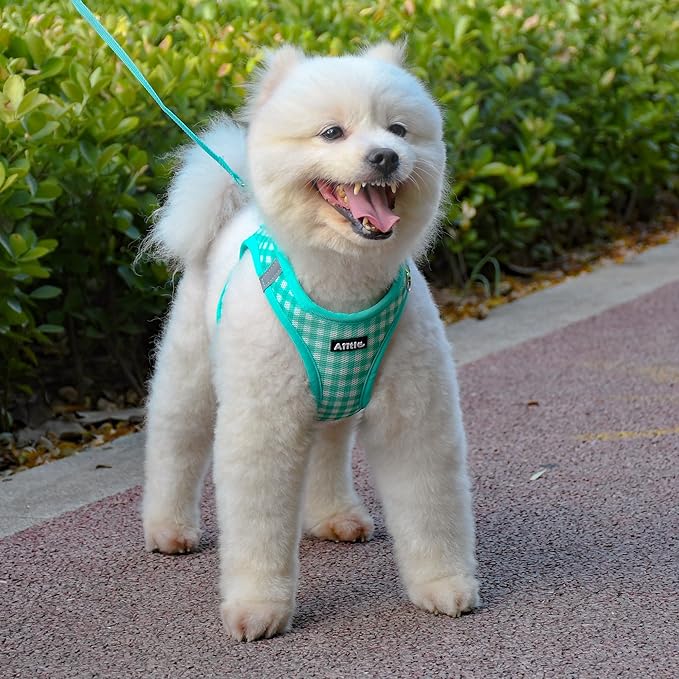 AIITLE Easy Walk Dog Vest Harness and Leash Set, Pet Supply No Pull, Breathable Mesh, Reflective Stripes, Adjustable Escape Proof Pet Outdoor Harnesses for Medium Dogs Turquoise L