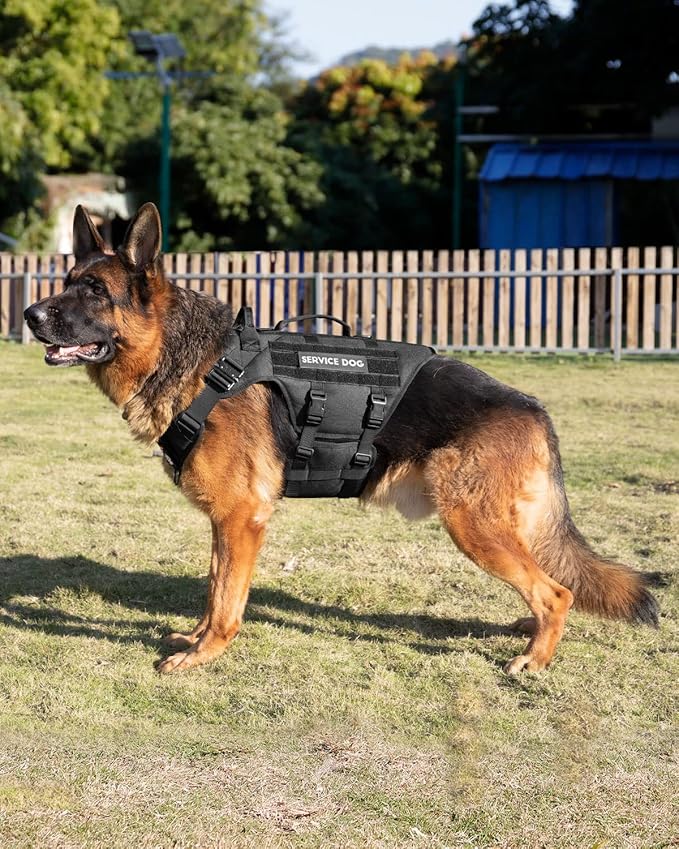 Tactical Dog Harness - PETNANNY Service Dog Vest for Large Dogs Fully Body Coverage in Training Dog Harness with 2 Reflective Dog Patches, Handle, Hook and Loop Panels, Dog MOLLE Vest (Black, L)