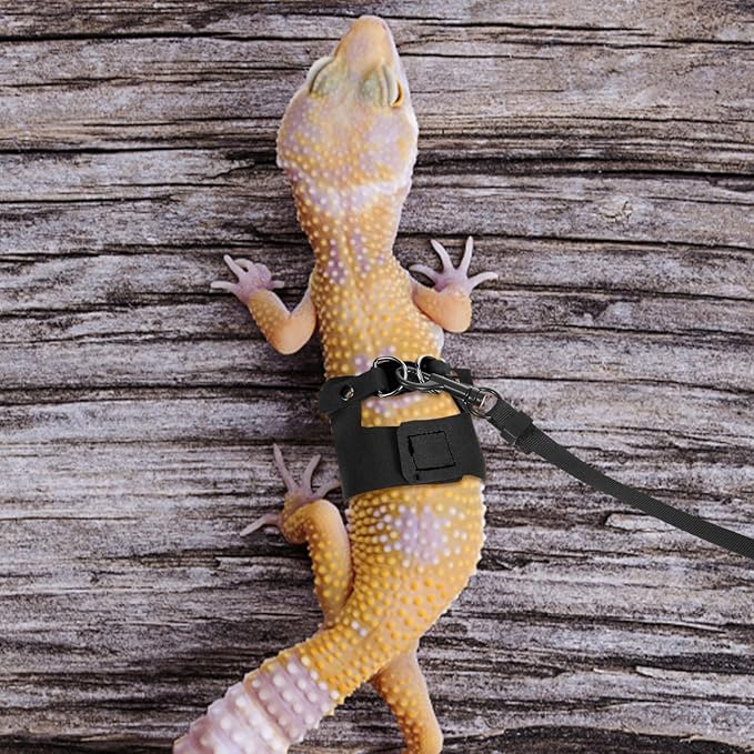 3 Pack Bearded Dragon Harness and Leash Set, 3 Sizes Adjustable Cool Orange Reptile Harness Leash, Adjustable Soft Leather Lizard Harnesss with Retractable Leashes for Reptile Squirrel Rat