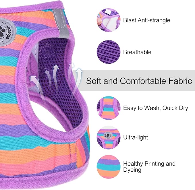 BEAUTYZOO Dog Harness and Leash Set for Small Dogs,No Pull Step-in Harness for Puppy XS S Sized Dogs and Cats,Air Mesh Adjustable Breathable Soft No Chock Escape Proof Vest Harnesses,Striped Purple XS