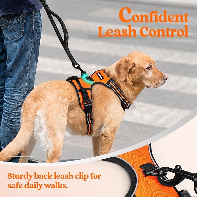 rabbitgoo Dog Harness No Pull with 2 Leash Clips, Adjustable Soft Padded, Reflective Oxford No Choke Pet Vest with Easy Control Handle for Large Dogs, Orange, XL