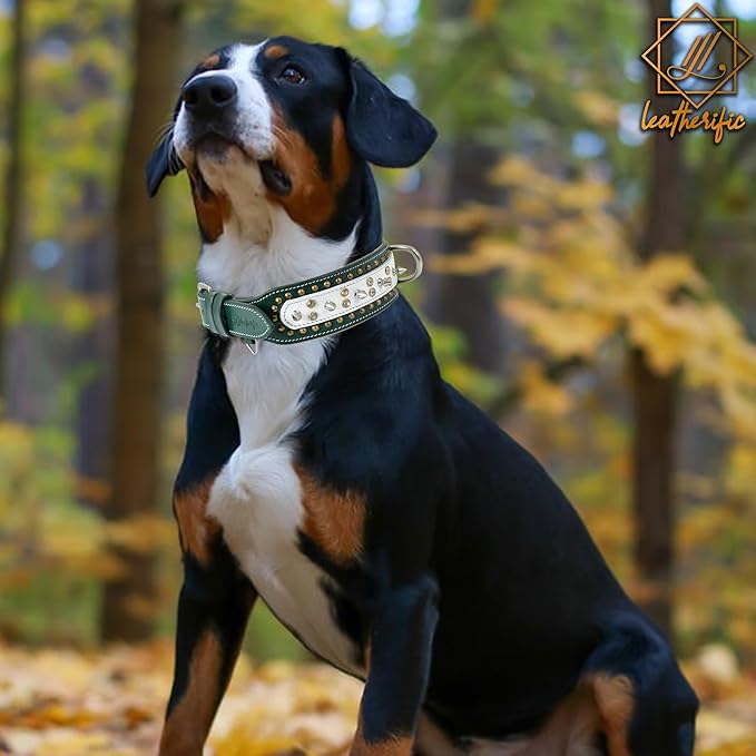 Genuine Leather Dog Collar by Leatherific, Premium Bridle Leather, Heavy Duty, Padded, Strong, Screwed Spikes, Medium, Large, Extra Large Breeds, 2" Wide (Forest Green, Neck Size 18"-22")