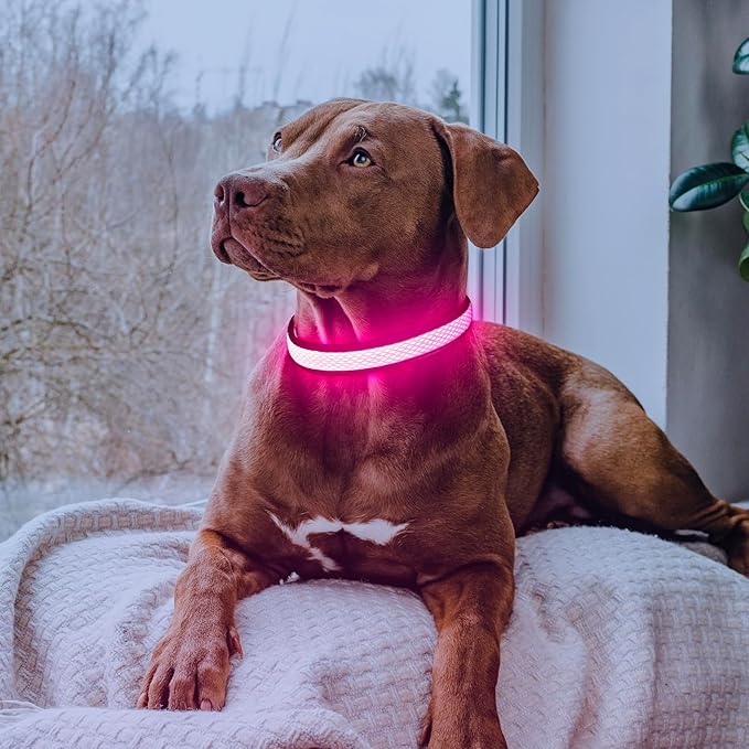 Flashseen LED Dog Collar, USB Rechargeable Light Up Dog Collar Lights, Adjustable Comfortable Soft Mesh Safety Dog Collar for Small, Medium, Large Dogs(Small, Candy Pink)