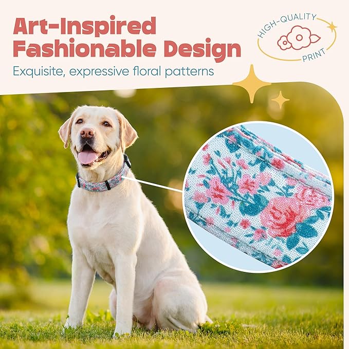 Dog Collar for Medium & Large Dogs - Rose Flowers Cotton Padded Pattern on Long Lasting, Adjustable, Strong and Durable Collars - Choose from Stunning Patterns and Colors