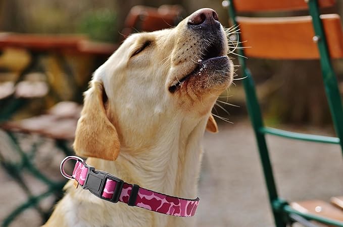 Dog Collar, Cute Camouflage Pattern, Soft and Adjustable Collar with Quick Release Buckle (L (Neck 16-28", Width 1"), Camouflage Pink)