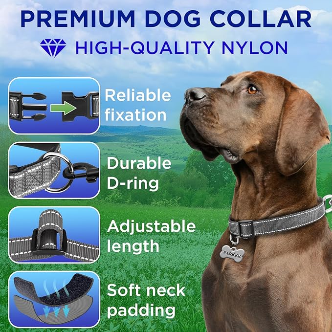TECEUM Reflective Pet Collar – Gray – S – Extra Soft Padding – Basic Nylon Dog Collar – Quick Release Buckle – Fits Small, Medium and Large Dogs, Puppies, Cats – ESA & Service Dog Options