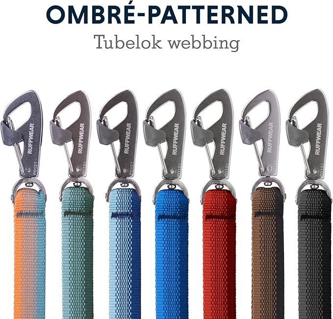 Ruffwear, Front Range Dog Leash, 5 ft Lead with Padded Handle for Everyday Walking, Blue Pool